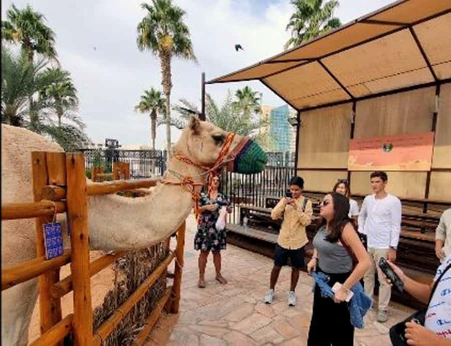 Dubai: Top Must-See Sights Tour with Burj Khalifa At The Top - Burj Khalifa At the Top (124–125): what you should plan for