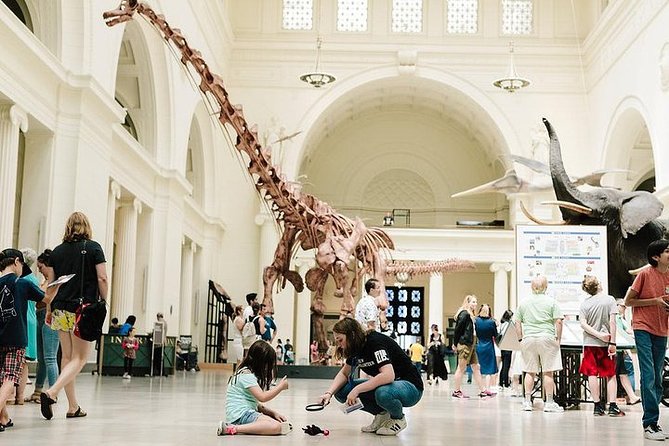 Field Museum of Natural History Admission Tickets - Advance tickets at the Field Museum: what your $29 buys you