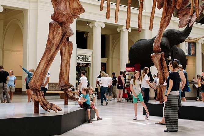 Field Museum of Natural History Admission Tickets - The Hall of Jades and the Hall of Gems: a bright detour from fossils