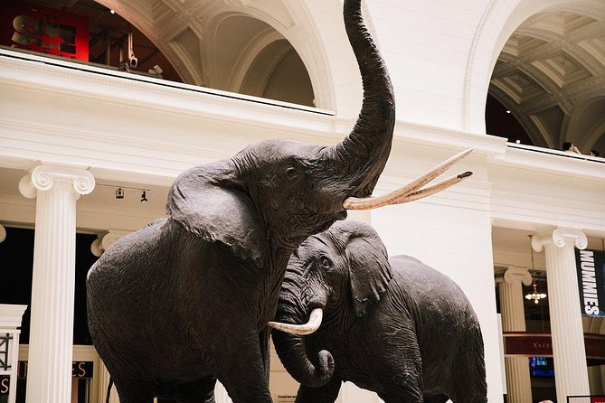 Field Museum of Natural History All-Access Pass - Key things to know before you go