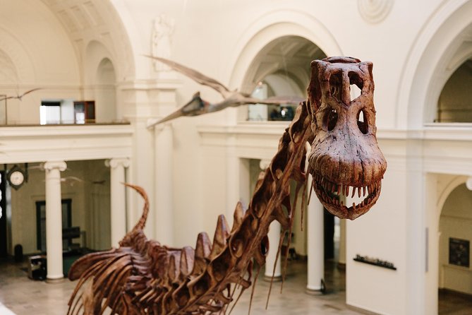 Field Museum of Natural History All-Access Pass - Field Museum All-Access Pass: a good way to buy time