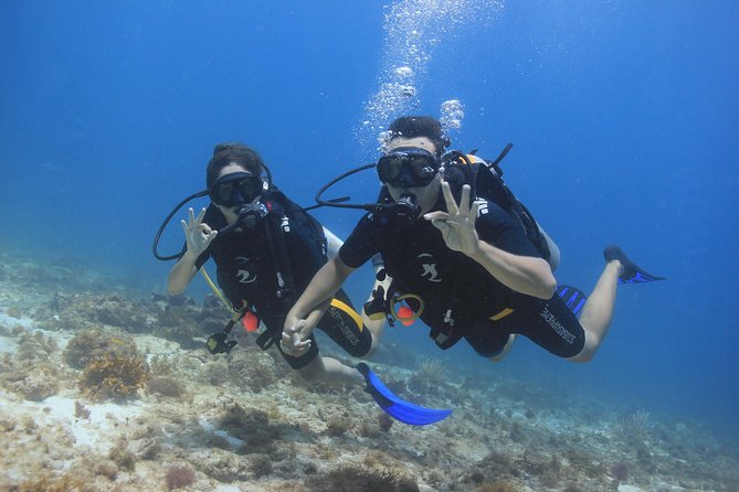 For certified Divers Experience the Under Water Museum and the Manchones Reef - Manchones Reef: marine life with clear guidance