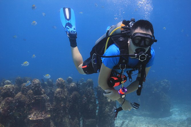 For certified Divers Experience the Under Water Museum and the Manchones Reef - Price and what adds up: $109 plus museum and marine park costs