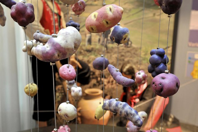 Frietmuseum Entrance Ticket - The ground floor: potato origins from Peru to your plate