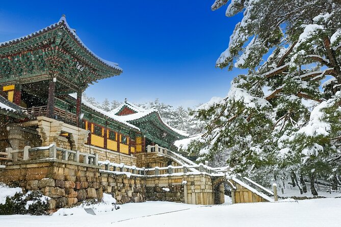 From Busan to Gyeongju UNESCO Legacy Tour with National Museum - Key things I’d watch for