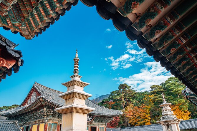 From Busan to Gyeongju UNESCO Legacy Tour with National Museum - Dalmaji Hill vs Ahopsan in Cherry Season: Spring Choices You Can Actually Feel
