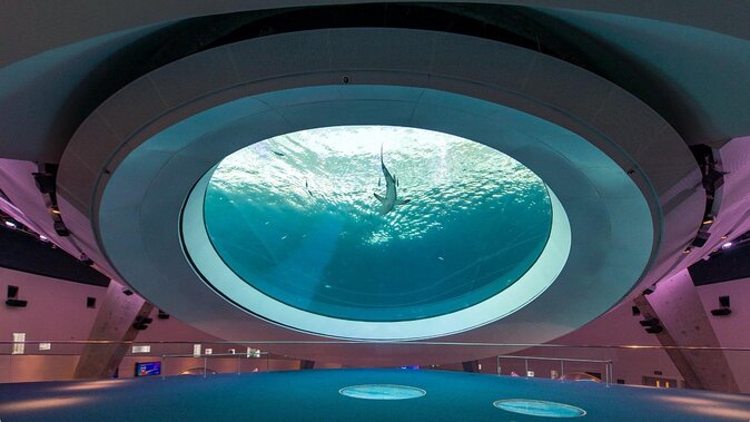 Frost Science Museum Admission Tickets - Key Highlights You Should Know Before You Go