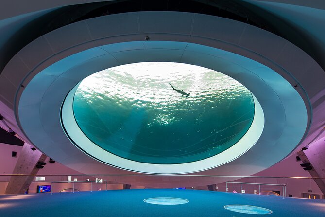 Frost Science Museum Admission Tickets - Frost Science in Downtown Miami: Big Science Without the Museum Maze