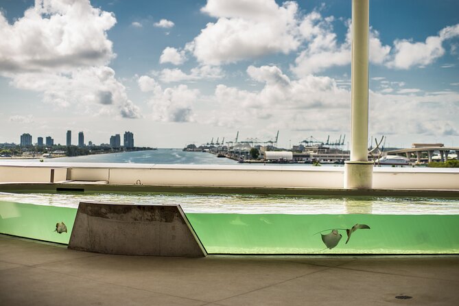 Frost Science Museum Admission Tickets - Aquarium Time in Four Levels: Stingrays, Hammerheads, and Hands-On Science