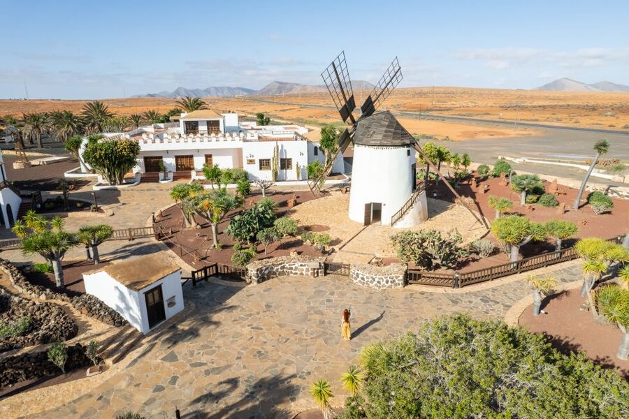 Fuerteventura: Tickets to Salt, Cheese and Windmill Museums - Museo del Queso Majorero: goat cheese as island identity