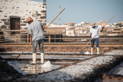 Fuerteventura: Tickets to Salt, Cheese and Windmill Museums - Salinas del Carmen: Antigua’s living salt works