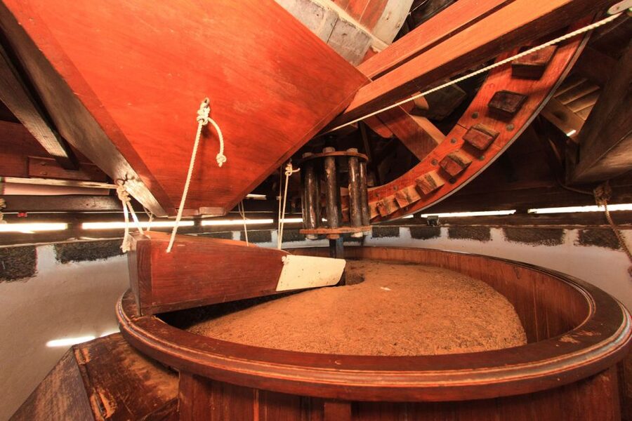 Fuerteventura: Tickets to Salt, Cheese and Windmill Museums - How long it takes, and why order matters less than you think