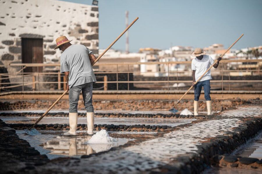 Fuerteventura: Tickets to Salt, Cheese and Windmill Museums - Salinas del Carmen: Antigua’s living salt works