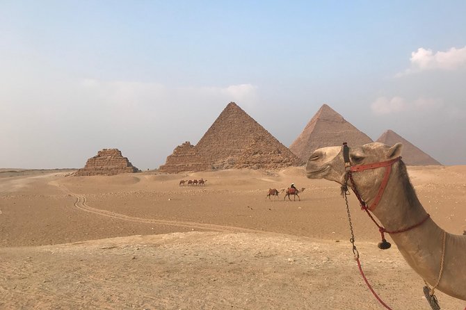 Full-Day Giza Pyramids and Egyptian Museum Private Tour - Egyptian Museum: seeing Tutankhamen and gold in a 2-hour window