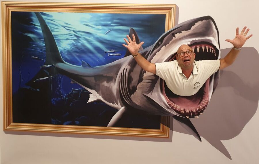 Funchal: 3D Fun Art Museum - Key highlights to look for