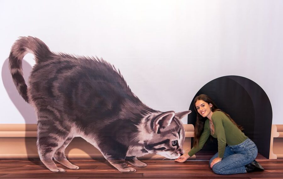 Funchal: 3D Fun Art Museum - The Michelangelo Wine Moment and Other Big Set Pieces