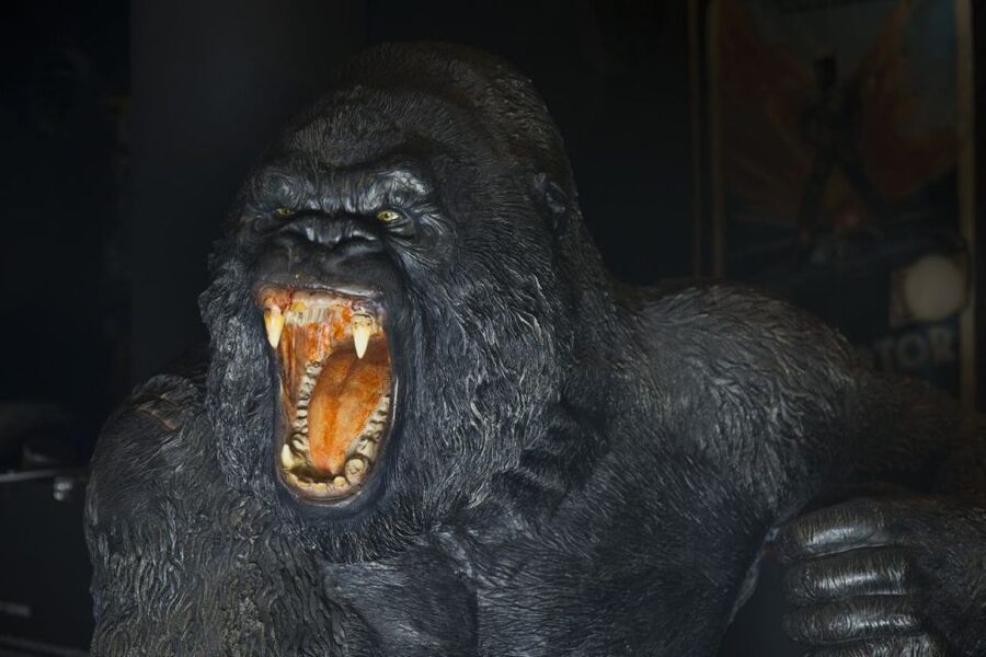 Genoa: FantaCinema Museum Entry Ticket - Soundtracks and the Protagonist Feeling: Why the Mood Matters Here