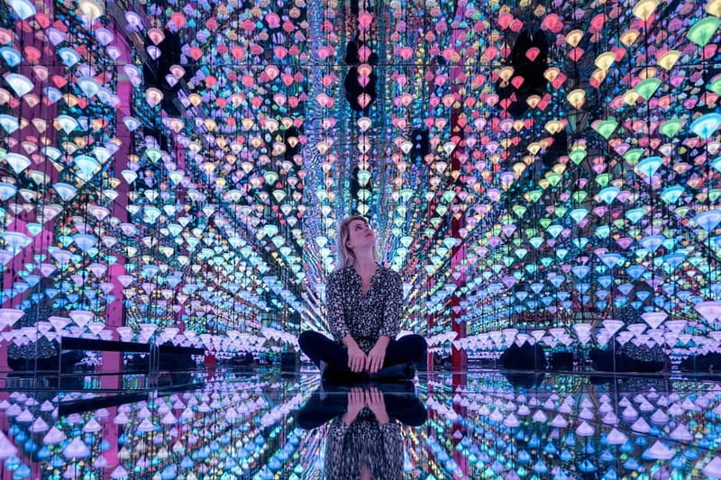 Go City Amsterdam Pass: Attractions Pass with Rijksmuseum - This is Holland and the Amsterdam Dungeon for story and tone