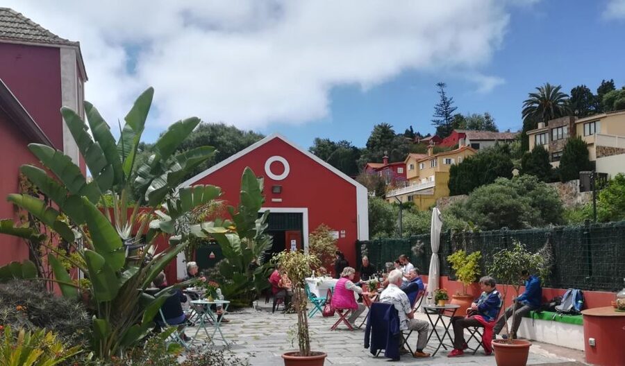 Gran Canaria: Winery Tour, Wine Museum, and Tasting - The wine museum: old machinery with clear explanations
