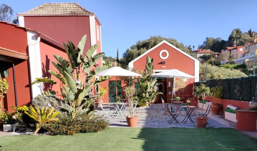 Gran Canaria: Winery Tour, Wine Museum, and Tasting - The tasting area: two wines, cheese, toast, olives, and garden calm