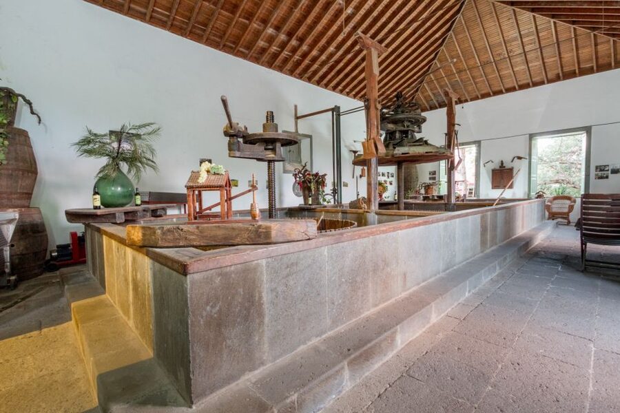Gran Canaria: Winery Tour, Wine Museum, and Tasting - Price and time value: $34 for 1.5 hours that doesn’t drag