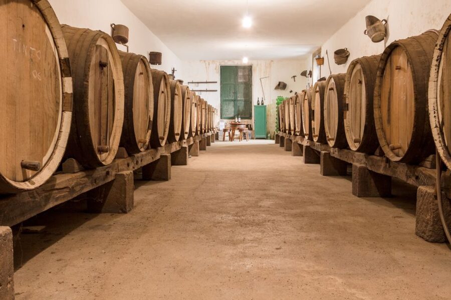 Gran Canaria: Winery Tour, Wine Museum, and Tasting - FAQ