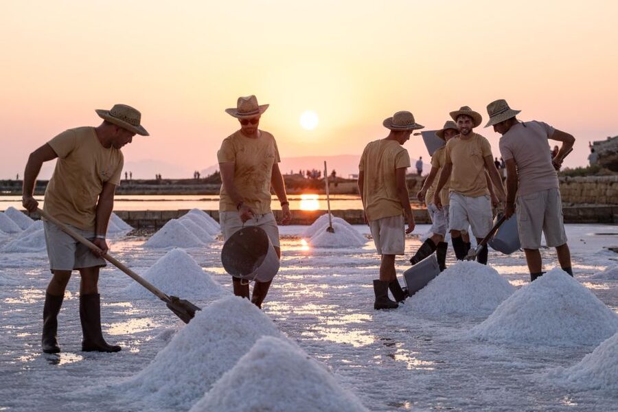 Guided tour of the Trapani Salt Pans and Salt Museum - 6 things that make this Trapani salt tour worth your time