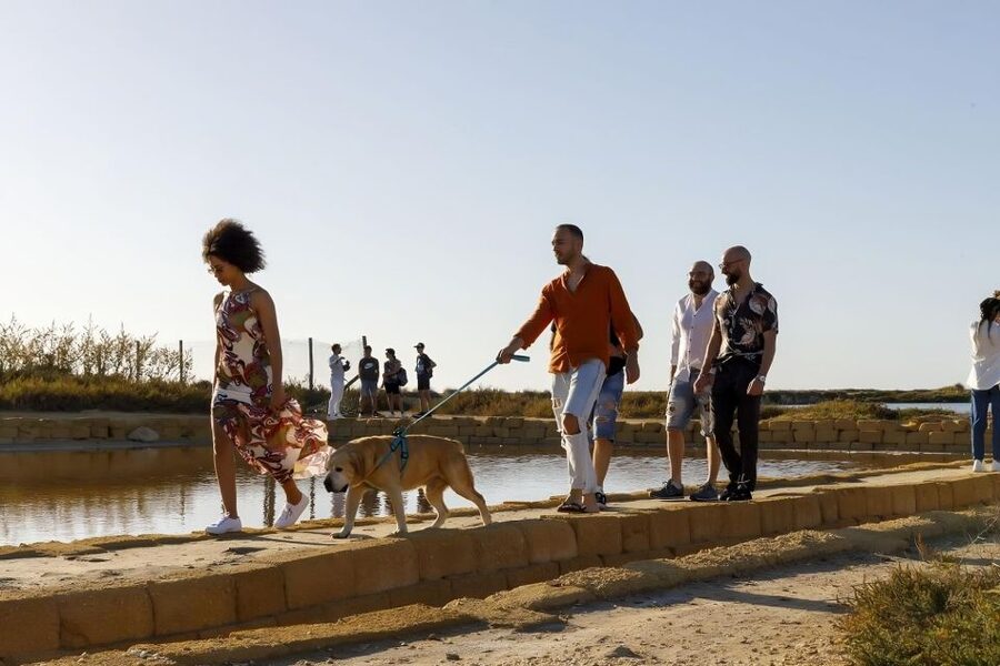 Guided tour of the Trapani Salt Pans and Salt Museum - The tastings: when flavored fleur de sel teaches you how to notice salt