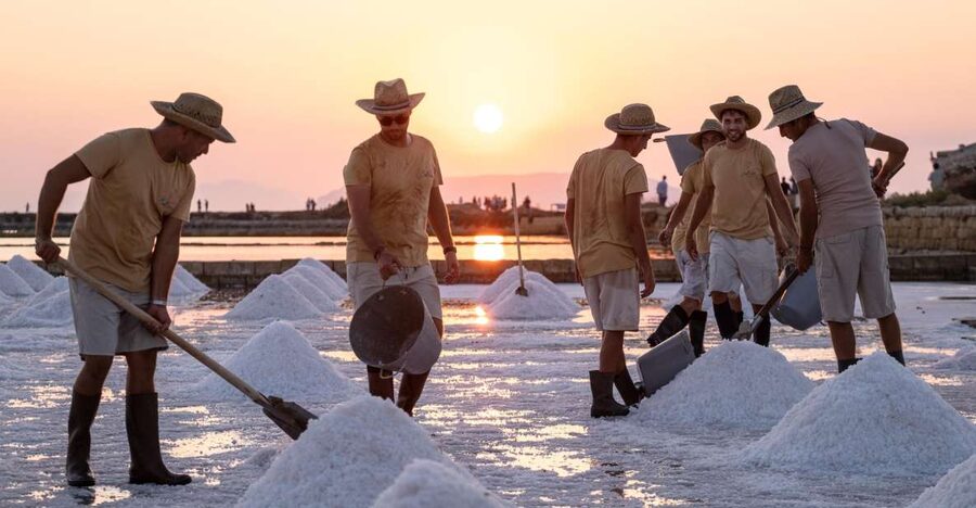 Guided tour of the Trapani Salt Pans and Salt Museum - Who should book this salt pans and museum tour