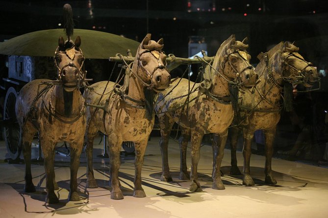 Half-Day Mini Group Xian Tour to Terracotta Warriors Museum - A half-day Terracotta Warriors plan that actually respects your time