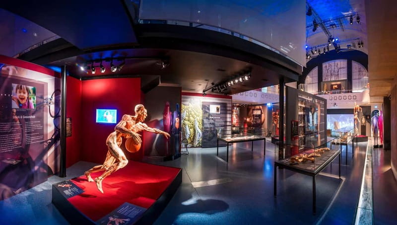 Heidelberg: KÖRPERWELTEN Museum Entry Ticket - Key highlights to look for