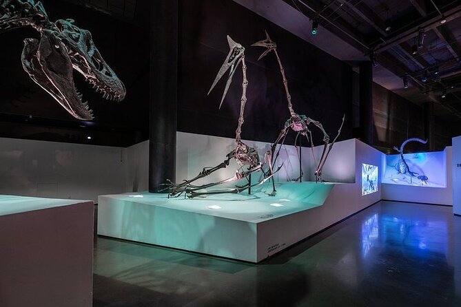 Houston Museum of Natural Science and Cockrell Butterfly Center - The museum highlights you’ll actually have time for