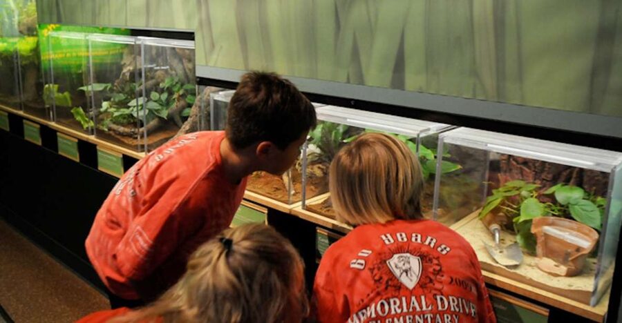 Houston Museum of Natural Science: Butterfly Center Ticket - The Butterfly Habitat: What You’ll Actually See (and Why)