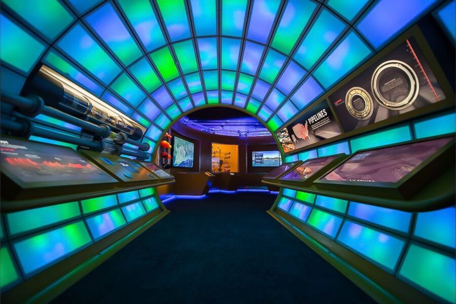 Houston Museum of Natural Science General Admission Ticket - Key highlights