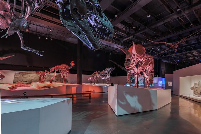 Houston Museum of Natural Science General Admission - Voucher to Ticket: What You Do on Arrival