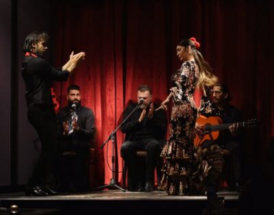 Intimate Authentic Flamenco Show in Barcelona at Casa Sors - The soundproofed studio show: timing, seating, and what to watch