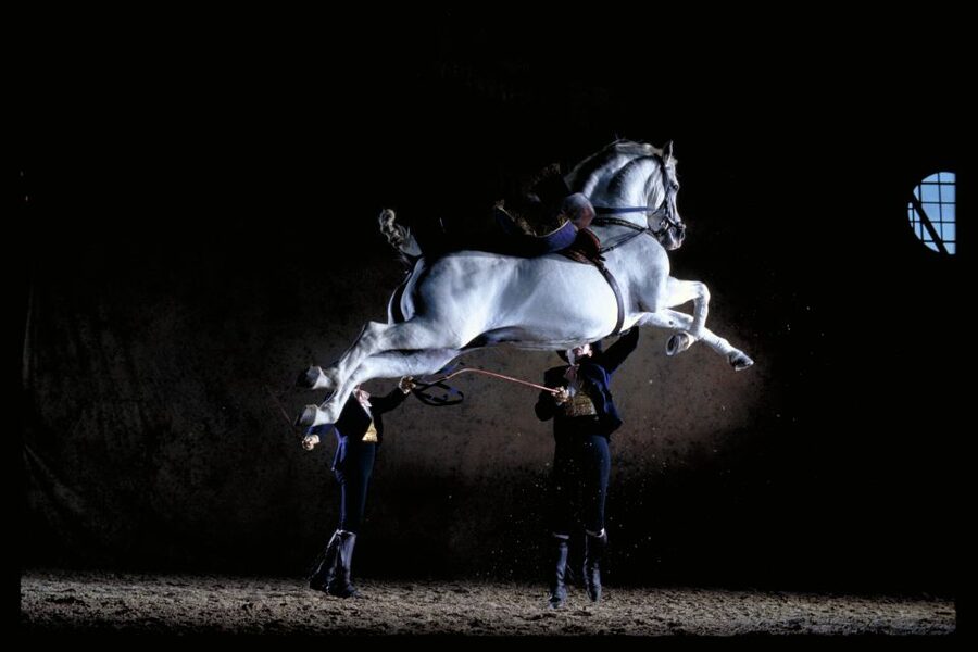 Jerez de la Frontera: Andalusian Horse Dance and Museums - Key things you’ll notice right away
