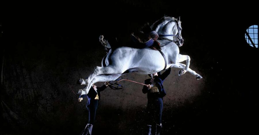 Jerez de la Frontera: Andalusian Horse Dance and Museums - Art Equestrian Museum: 11 rooms and the saddlery connection