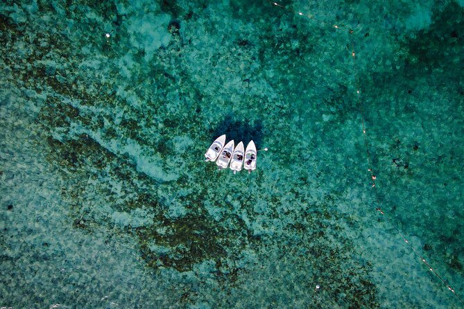Jungle Tour & Snorkel at Punta Nizuc Reef , Underwater museum - Driving the speedboat through Cancun’s mangroves