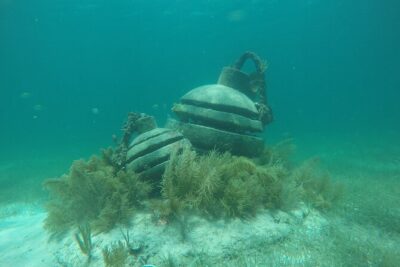 Jungle Tour & Snorkel at Punta Nizuc Reef , Underwater museum - Punta Nizuc Reef snorkeling and the “what you’ll actually see” reality