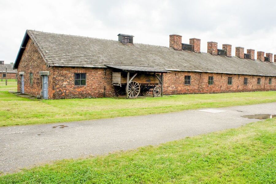 Krakow: Auschwitz Birkenau Museum Guided Tour with Pickup - What to Expect From the Day’s Pace