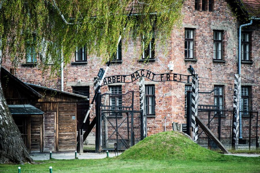 Krakow: Auschwitz Birkenau Museum Guided Tour with Pickup - Skip-The-Line and Museum Entry: A Real Value Add