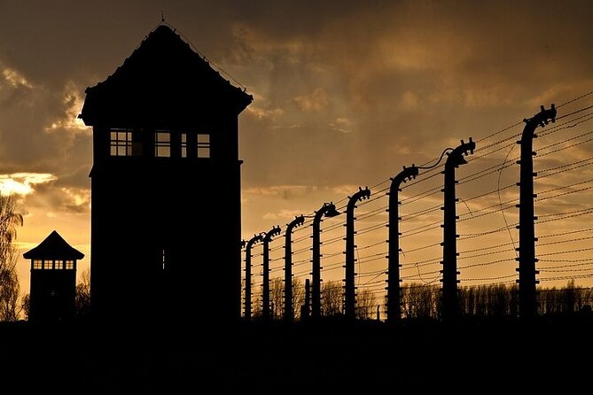 Krakow: Auschwitz-Birkenau Tour & Museum Expert Guide - From Krakow: the early start and transport reality