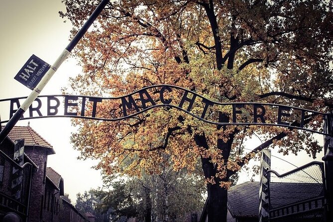Krakow: Auschwitz-Birkenau Tour & Museum Expert Guide - Who this tour is best for (and who should skip)