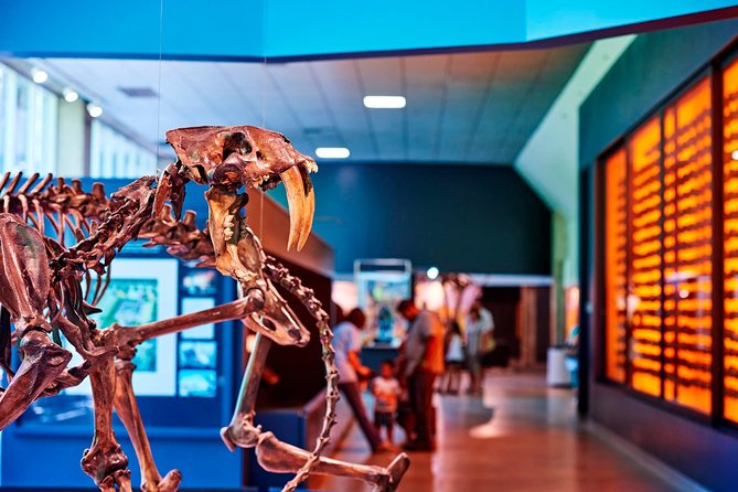 La Brea Tar Pits and Museum Admission Ticket with Excavator Tour - A working Ice Age site right inside Los Angeles