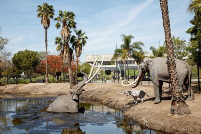 La Brea Tar Pits and Museum Admission Ticket with Excavator Tour - Your ticket value: what $18 really buys you