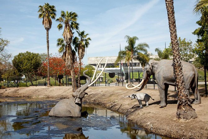 La Brea Tar Pits and Museum Admission Ticket with Excavator Tour - Your ticket value: what $18 really buys you