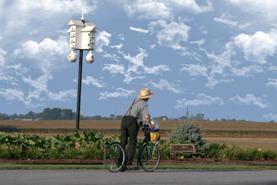 Lancaster County: Amish Farmlands, Museum Tour, Farm Visit - Key Things That Make This Amish Day Trip Click