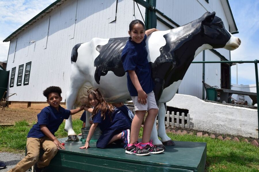 Lancaster County: Amish Farmlands, Museum Tour, Farm Visit - The 90-Minute Amish Country Bus Tour: Views With a Purpose