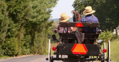 Lancaster County: Amish Farmlands, Museum Tour, Farm Visit - Meeting at the Historic Farmhouse Site (Parking Is Straightforward)